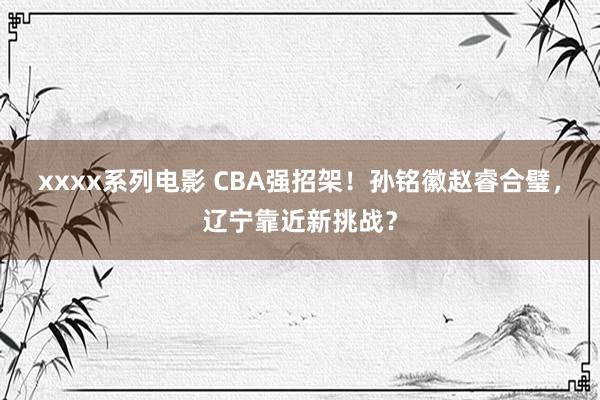 xxxx系列电影 CBA强招架！孙铭徽赵睿合璧，辽宁靠近新挑战？