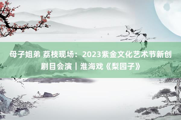 母子姐弟 荔枝现场：2023紫金文化艺术节新创剧目会演｜淮海戏《梨园子》