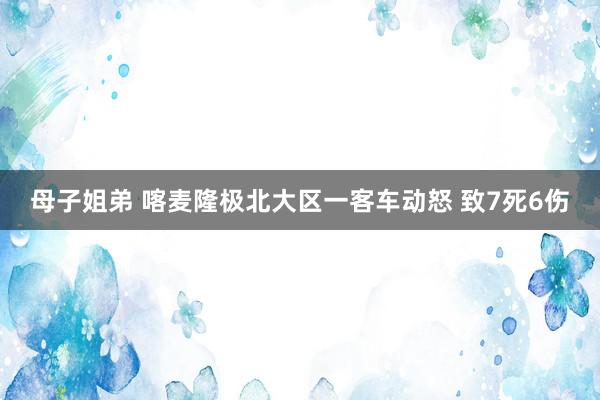 母子姐弟 喀麦隆极北大区一客车动怒 致7死6伤