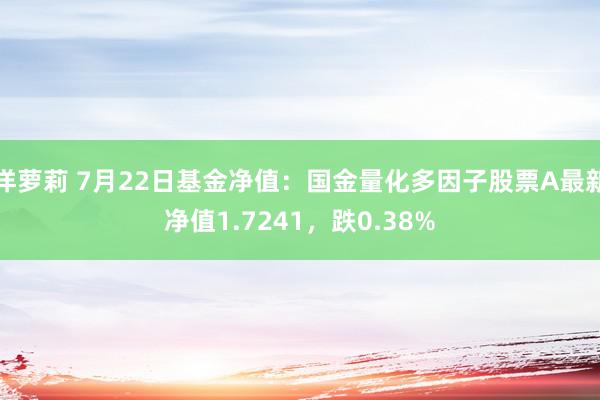 洋萝莉 7月22日基金净值：国金量化多因子股票A最新净值1.7241，跌0.38%