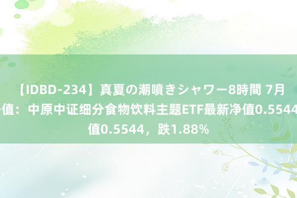 【IDBD-234】真夏の潮噴きシャワー8時間 7月22日基金净值：中原中证细分食物饮料主题ETF最新净值0.5544，跌1.88%