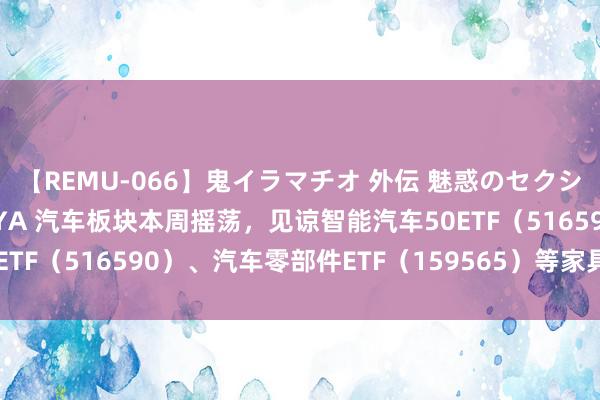 【REMU-066】鬼イラマチオ 外伝 魅惑のセクシーイラマチオ 芸能人AYA 汽车板块本周摇荡，见谅智能汽车50ETF（516590）、汽车零部件ETF（159565）等家具后续走势