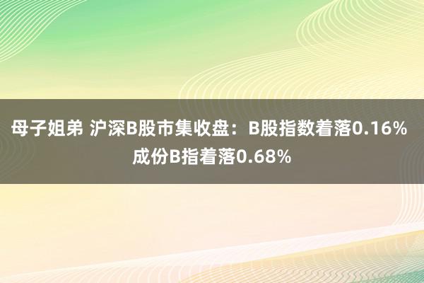 母子姐弟 沪深B股市集收盘：B股指数着落0.16% 成份B指着落0.68%