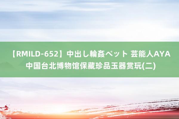 【RMILD-652】中出し輪姦ペット 芸能人AYA 中国台北博物馆保藏珍品玉器赏玩(二)