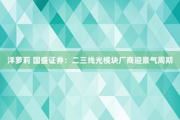 洋萝莉 国盛证券：二三线光模块厂商迎景气周期