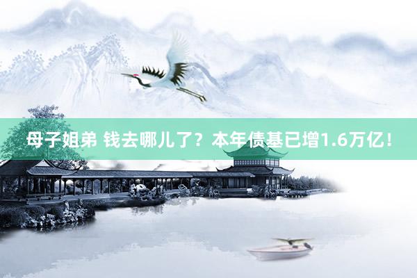 母子姐弟 钱去哪儿了？本年债基已增1.6万亿！