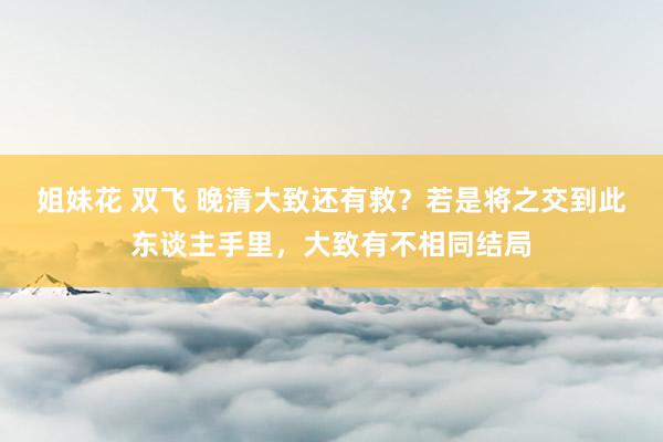 姐妹花 双飞 晚清大致还有救？若是将之交到此东谈主手里，大致有不相同结局