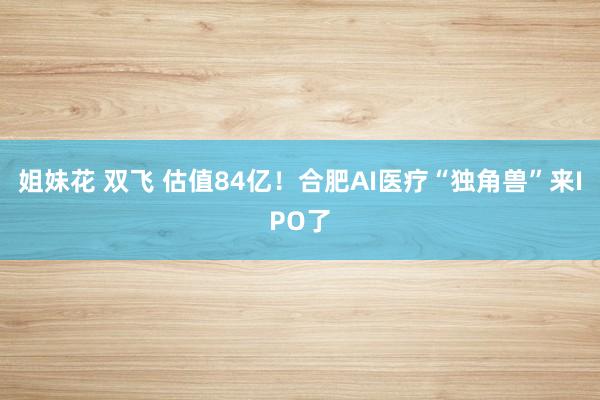 姐妹花 双飞 估值84亿！合肥AI医疗“独角兽”来IPO了