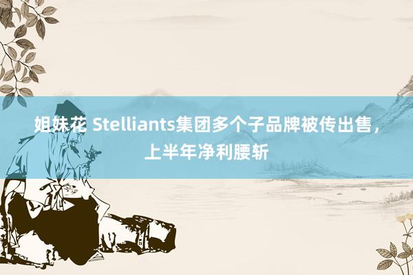 姐妹花 Stelliants集团多个子品牌被传出售，上半年净利腰斩