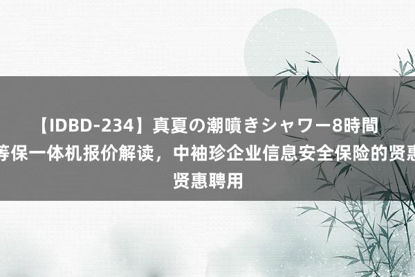 【IDBD-234】真夏の潮噴きシャワー8時間 二级等保一体机报价解读，中袖珍企业信息安全保险的贤惠聘用