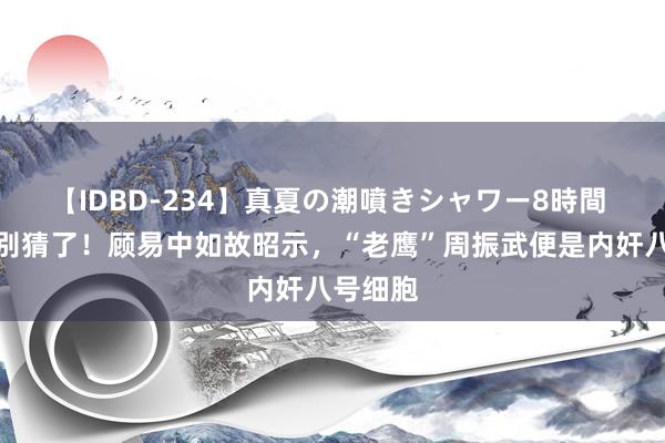 【IDBD-234】真夏の潮噴きシャワー8時間 孤舟：别猜了！顾易中如故昭示，“老鹰”周振武便是内奸八号细胞