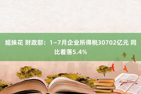 姐妹花 财政部：1—7月企业所得税30702亿元 同比着落5.4%